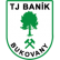 TJ Baník Bukovany