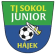 TJ Sokol Junior Hájek