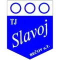 TJ Slavoj Bečov nad Teplou