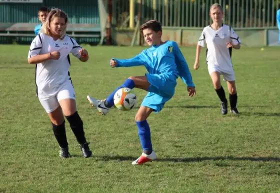 Mladší žáci prohráli s TJ Sokol Merklín 10:6.